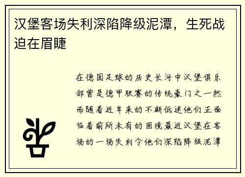 汉堡客场失利深陷降级泥潭，生死战迫在眉睫